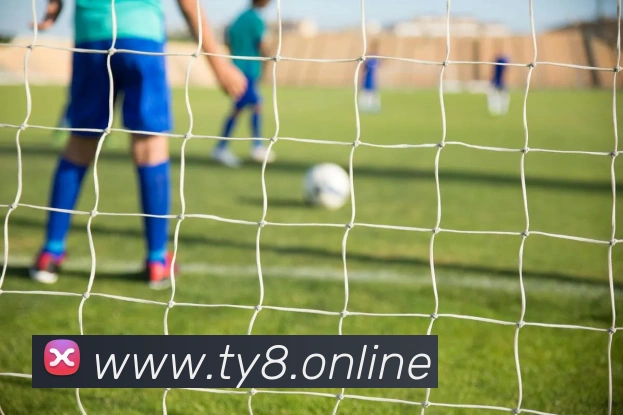 对战数据统计